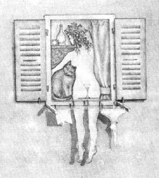 The Window...